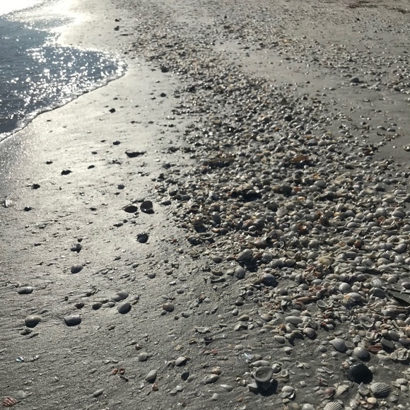 Meet your Posher, Rebecca - Picture 16 of 16